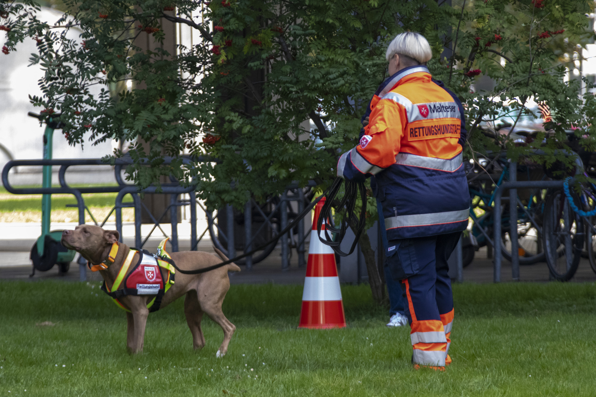 70 Jahre Malteser – Challenge in der Kölner Innenstadt